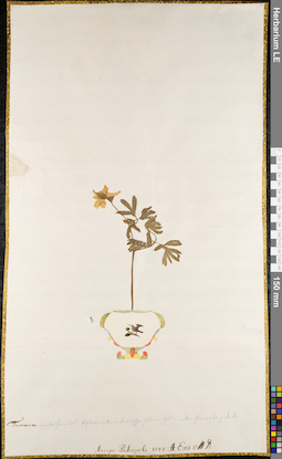 LE 01084536