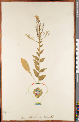 LE 01084538