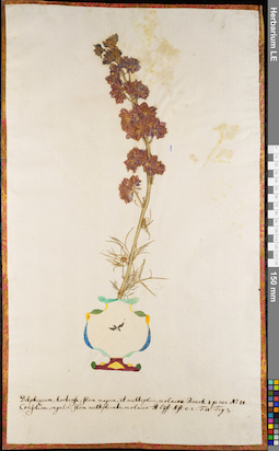 LE 01062723