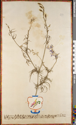 LE 01062724