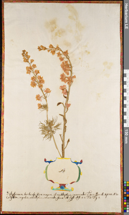 LE 01062731