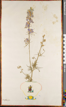 LE 01062732