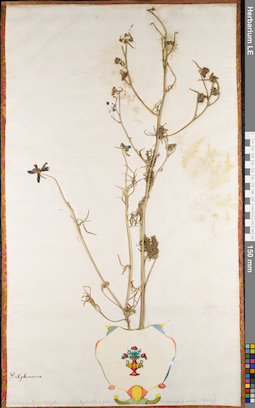 LE 01062734