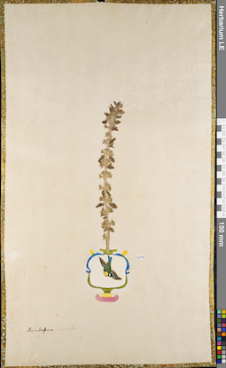 LE 01084246