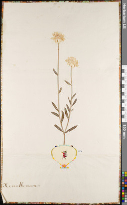 LE 01084258