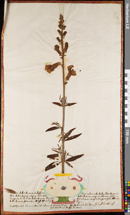LE 01084260