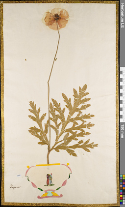 LE 01084290