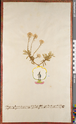 LE 01084297