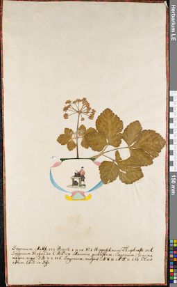 LE 01084371