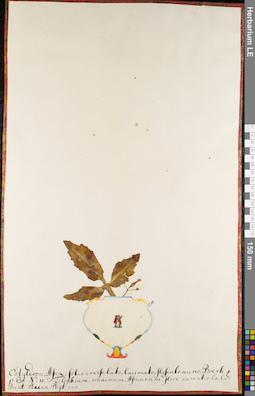 LE 01084380
