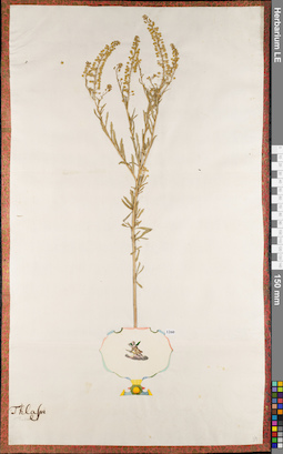 LE 01084394