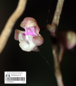 LE 01087324