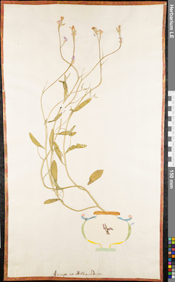 LE 01062603