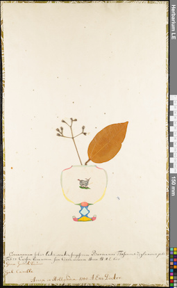 LE 01062625