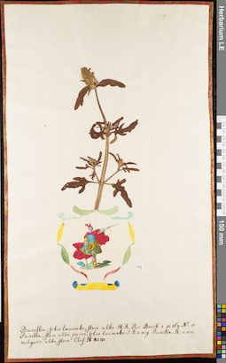 LE 01062626