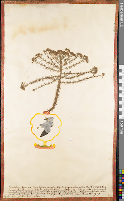 LE 01062665