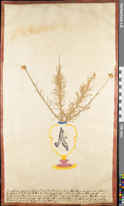 LE 01062666
