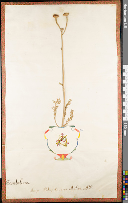 LE 01062667