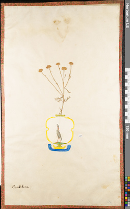 LE 01062671