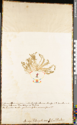 LE 01062672