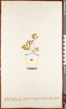 LE 01062804