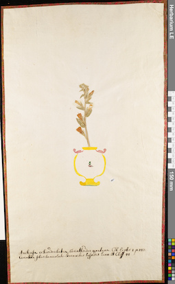 LE 01062840