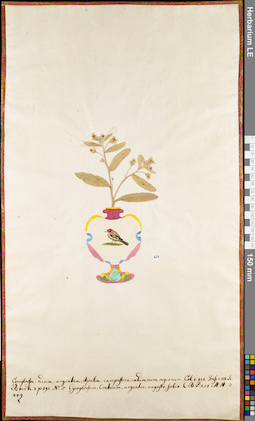 LE 01062842