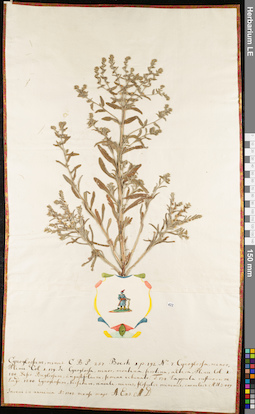 LE 01062847