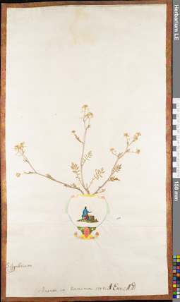 LE 01062852