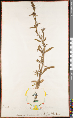 LE 01062865
