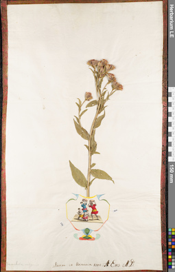 LE 01062869