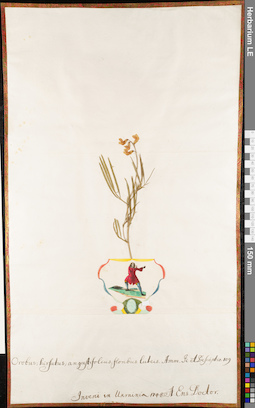 LE 01062874