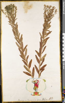 LE 01062875