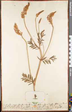 LE 01062876