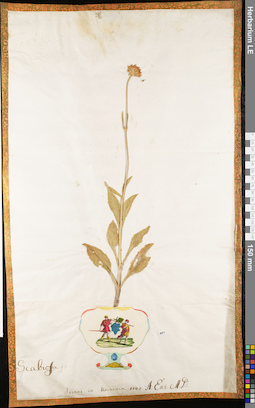 LE 01062880