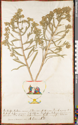 LE 01062882