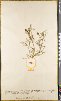 LE 01062887