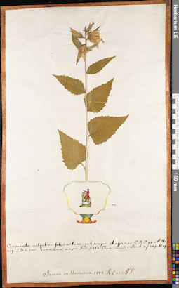 LE 01062890