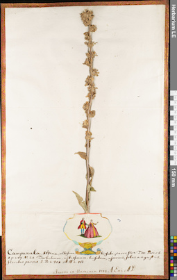 LE 01062891