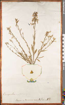 LE 01062905