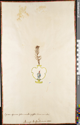 LE 01062913