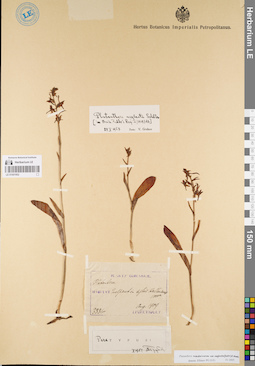 LE 01001952