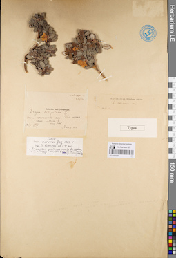 LE 01001984