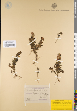 LE 01008194