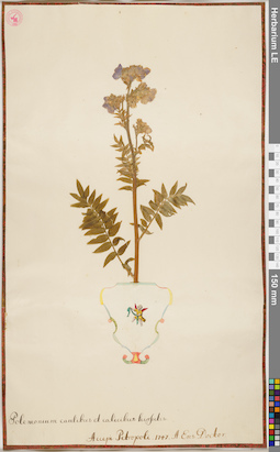 LE 01084660