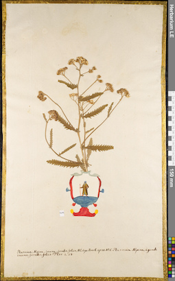 LE 01084237
