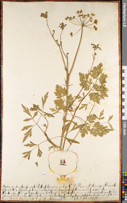 LE 01084404