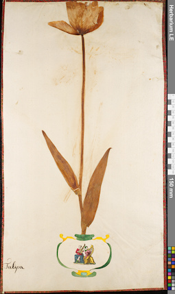 LE 01084424