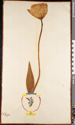 LE 01084427