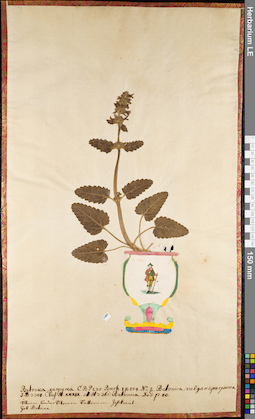 LE 01084851